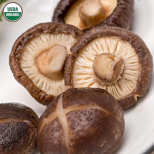 ONETNG Dried Shiitke Mushroom, Quick Rehydrtion, Kuwit