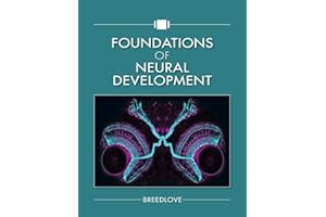 Foundations of Neural Development