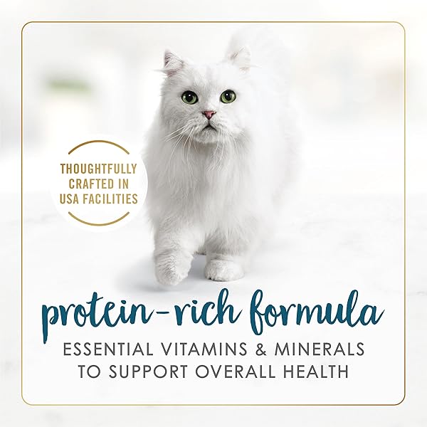 PURINA FANCY FEAST SENIOR WET CAT FOOD 7 YEARS PLUS TUNA FEAST IN GRAVY MINCED – (PACK OF 24) 3 OZ. CANS