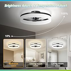 JOFIOS Ceiling Fans with Lights, 15.7in Black Flush