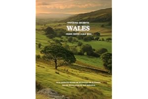 Stunning Colorful Wales Images Coffee Table Book: 40 AI-Generated Designs for Relaxation and Meditation and for Travel Lovers