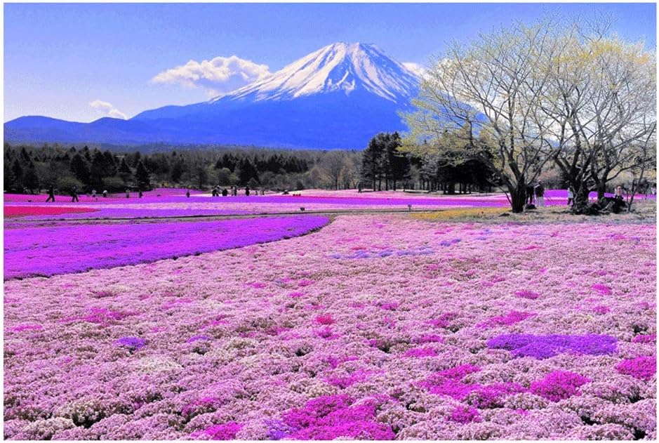 TXOZ 500 / 1000 / 2000 /4000 Pieces -Wooden Jigsaw Puzzle - Great Gift for Girls and Boys - Suitable for Adults and Kids-Landscape Series-in The Distance-Mount Fuji ( Size : 1000pcs )