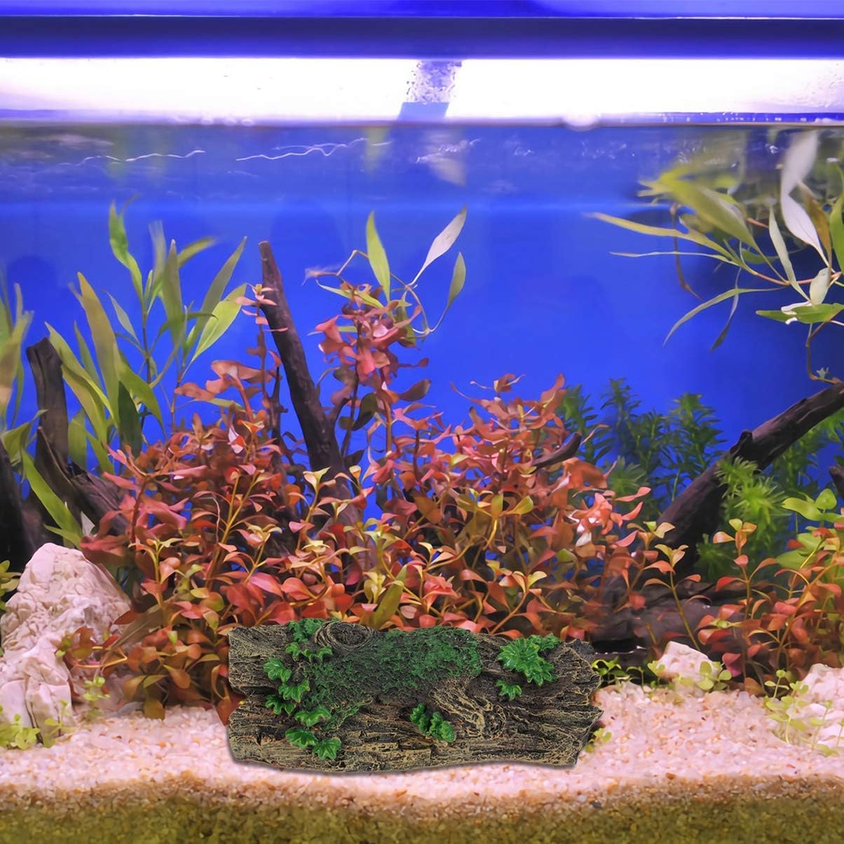 View 6