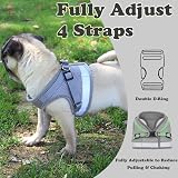 Anlitent Soft Mesh No Pull Cat Harness and Lead Set Grey X-Small view 4