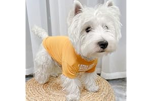 Dog Shirts Soft Cotton Dog Clothes Stretchy T-Shirt for Small Dogs Cat Shirt Breathable Puppy Outfit Pet Pullover Tee Basic S