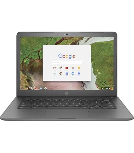 Chromebook本体 ASUS Chromebook C423NA-EB0039 14 ASUS Laptop Computer, C423 Chromebook, 14