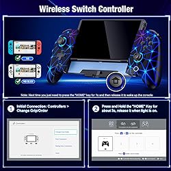 Spican Switch Controllers for Nintendo