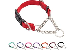 Yunleparks Martingale Dog Collar with Quick Release Buckle Steel Chain No Pull Training Reflective Collar for Medium Large Dogs(Red, Medium)