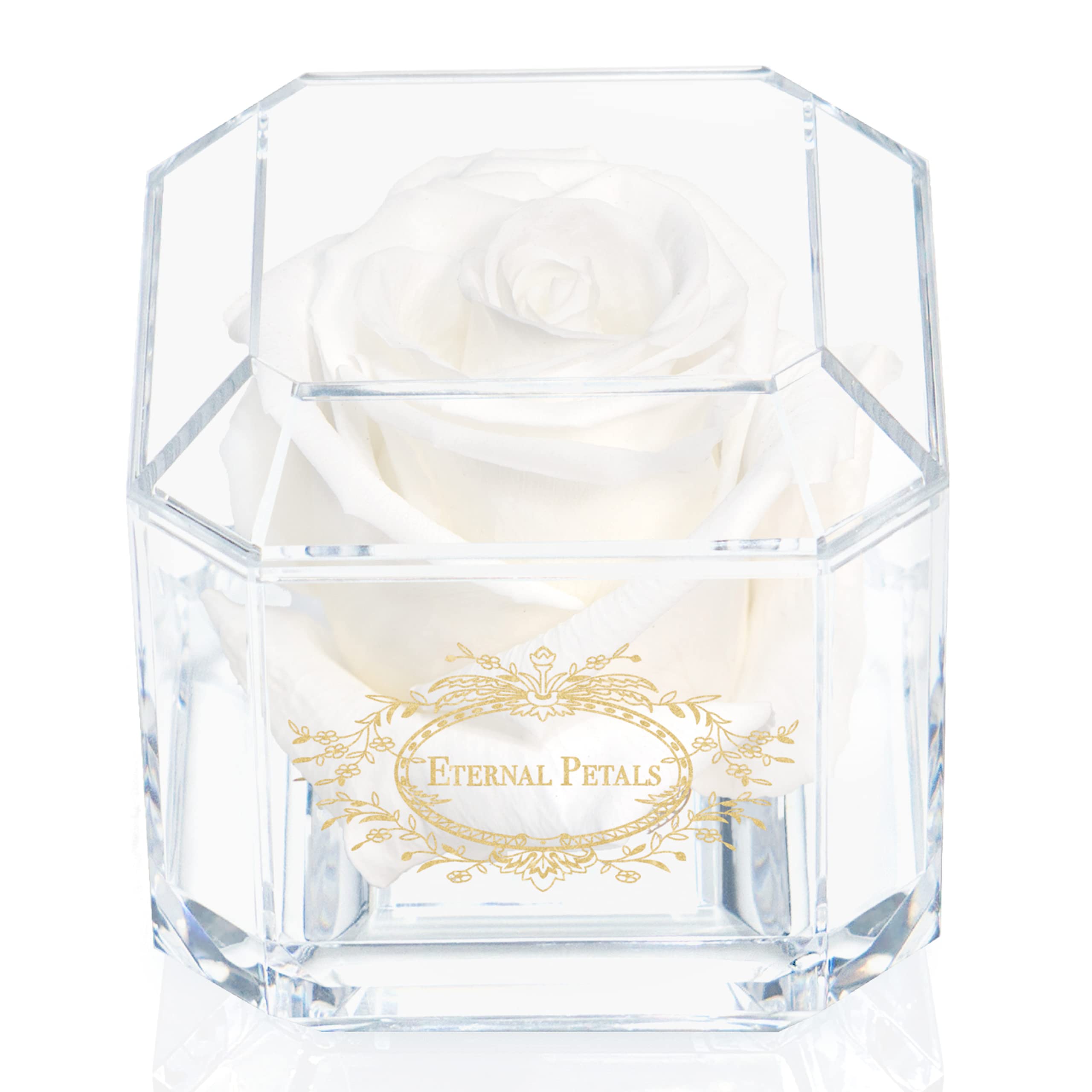 Eternal Petals Solo - A Real Rose That Lasts A Year - Perfect Unique Gift for Women, Men, Birthday Gift (White)