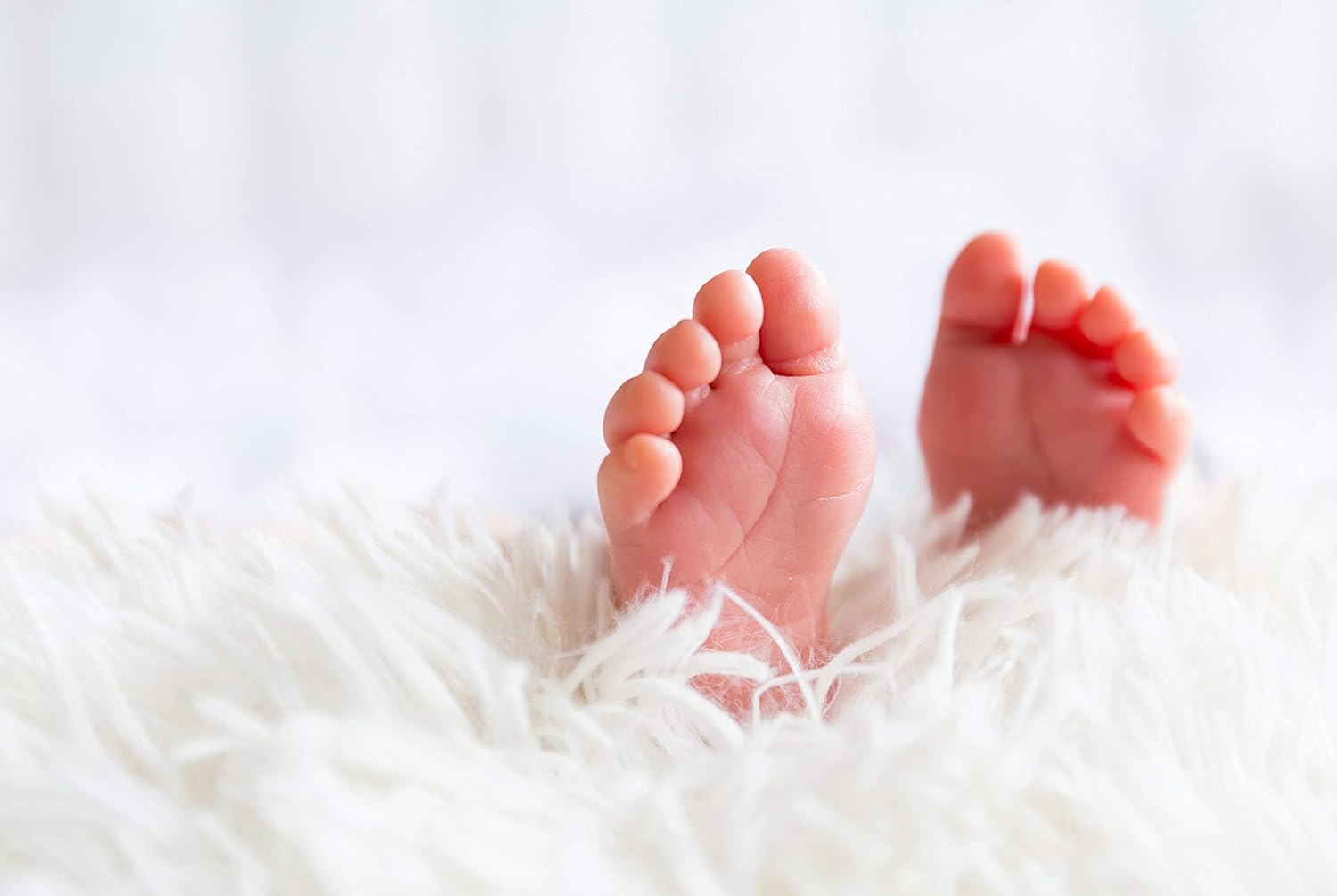 A1 Cute Baby Feet Poster Art Print 60 x 90cm 180gsm