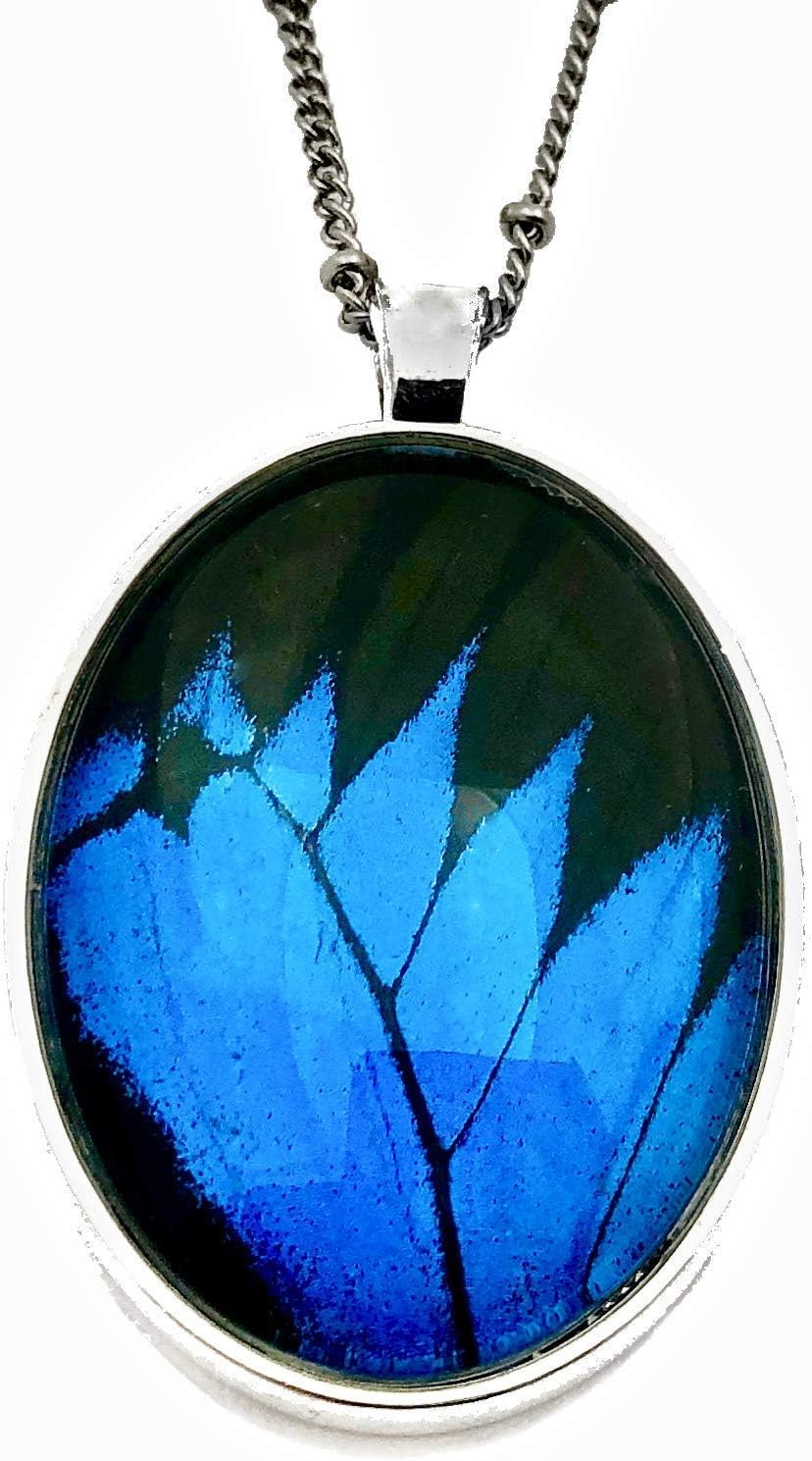 Real butterfly jewelry Insect wing necklace Blue butterfly necklace Bug taxidermy gifts Pressed flower necklace Papilio Ulysses