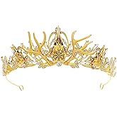 CoTeeZa Gothic Crow Skull Crown - Retro Elf Circlet Headpiece Viking Celtic Headwear for Renaissance Halloween Cosplay