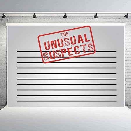 Amazon Phmojen マグショット背景 10x7フィート 珍しい容疑者テーマ 写真撮影背景 パーティー 写真撮影小道具 Lhph7 Phmojen バックペーパー 背景布