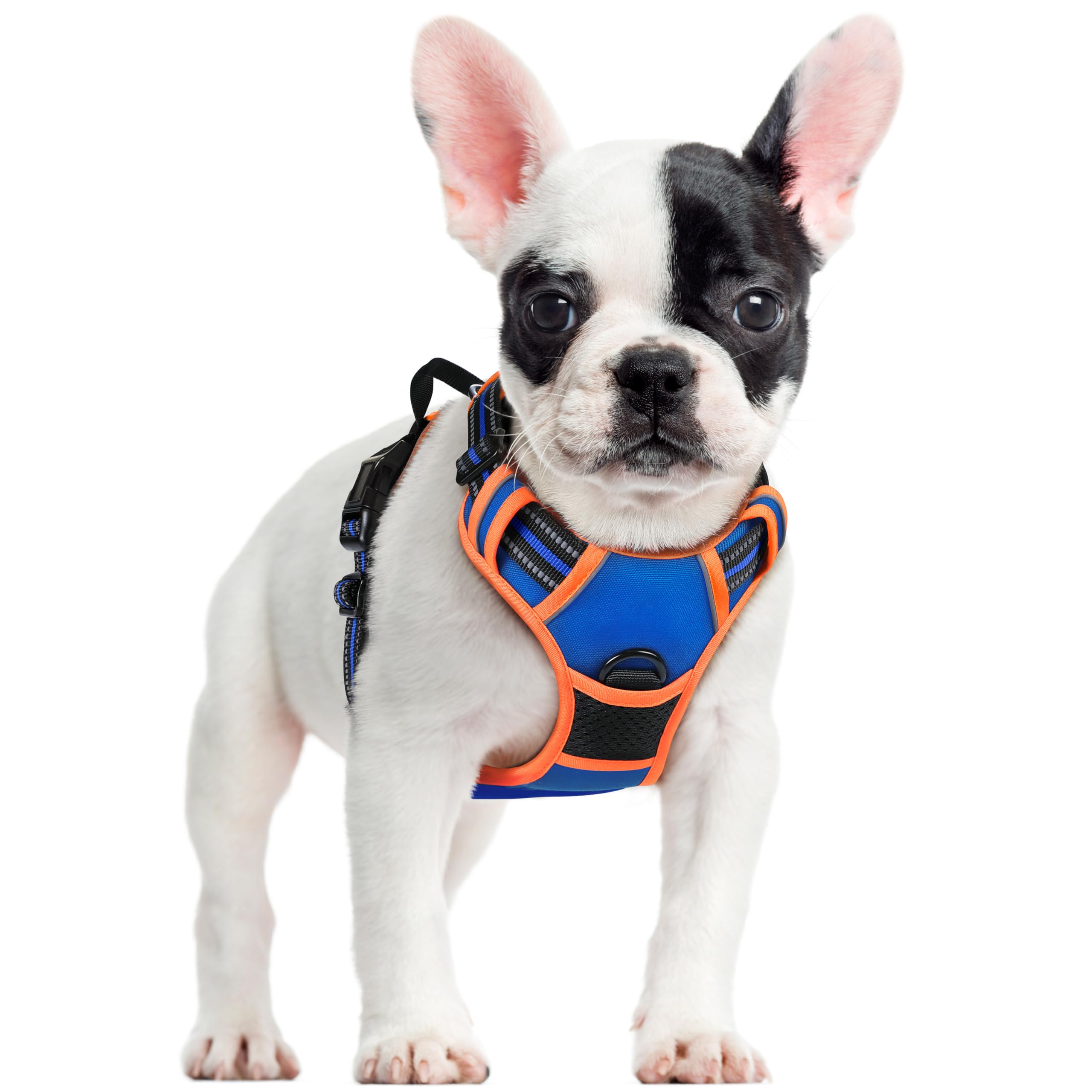 Photo 1 of rabbitgoo Dog Harness No Pull with 2 Leash Clips, Adjustable Soft Padded, Reflective Oxford No Choke Pet Vest with Easy Control Handle for Small Dogs, Blue & Orange, S