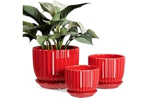 Ton Sin Ceramic Plant Pots - 4/5/6 Inch Red Planters Set of 3 with Drainage Holes and Saucer - Indoor Flower Pots for Plants Ceramic Planters for Indoor Gardening Succulent Pots