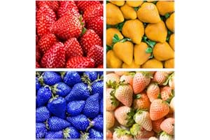 400+ Mix Strawberry Seeds for Planting - Heirloom Non-GMO Red Yellow Blue White Climbing Strawberry - Everbearing Fruit Plant