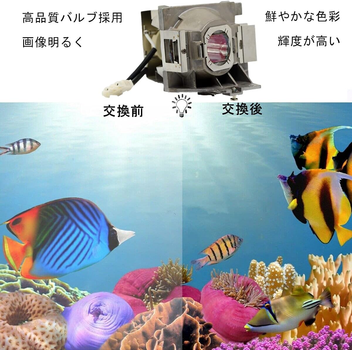 Amazon Brighter Lamp 5j Jee05 001 プロジェクターランプ For Benq W1110 ハウジング付き 高輝度 長寿命 文房具 オフィス用品 文房具 オフィス用品 Amazon Brighter Lamp 5j Jee05 001 プロジェクターランプ For Benq W1110 ハウジング付き 高輝度 長寿命 文房具 オフィス用品 文房具 オフィス用品