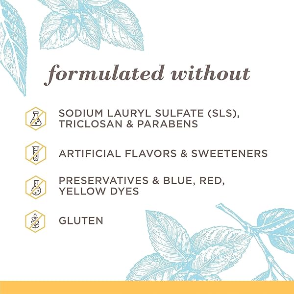 BURT’S BEES EXTRA WHITE TOOTHPASTE, FLUORIDE TOOTHPASTE, NATURAL FLAVOR, MOUNTAIN MINT, 4.7 OZ, PACK OF 3