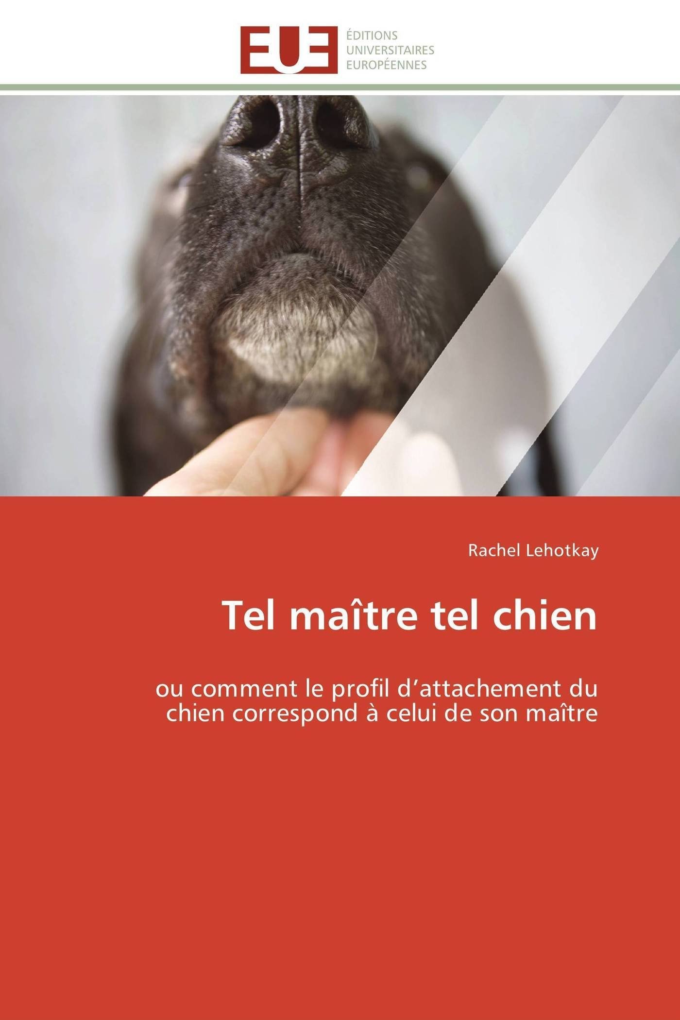 Tel Maître Tel Chien Ou Comment Le Profil Dattachement Du