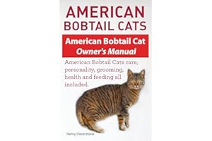 American Bobtail Cats. American Bobtail Cat Owners Manual. American Bobtail Cats
