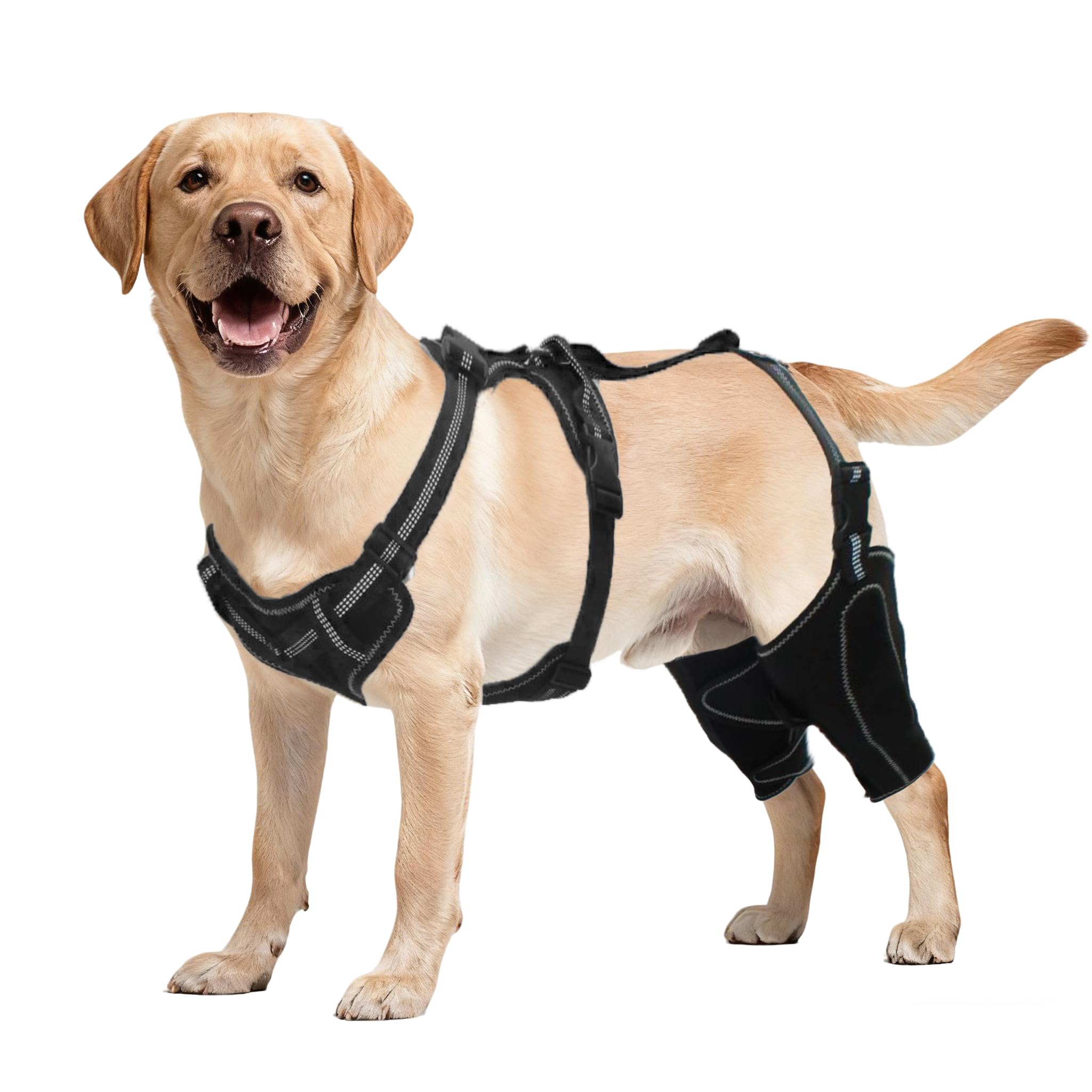 Photo 1 of Dog Knee Brace for Torn ACL/CCL - Adjustable Hind Leg Support with Non-Slip Harness & Inner Splint, Recovery Brace for Luxating Patella, Hip Dysplasia, Leg Injury & Surgery (Fits Medium Large Dogs)