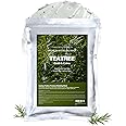 LINDSAY Premium Modeling Pack - Korean Skin Care Tea Tree Face Modeling Mask – Refreshing & Hydrating Face Mask Spa Facial Peel-off Mask (Cool Tea Tree, 2.2 lb)
