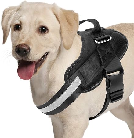 amazon prime dog harness