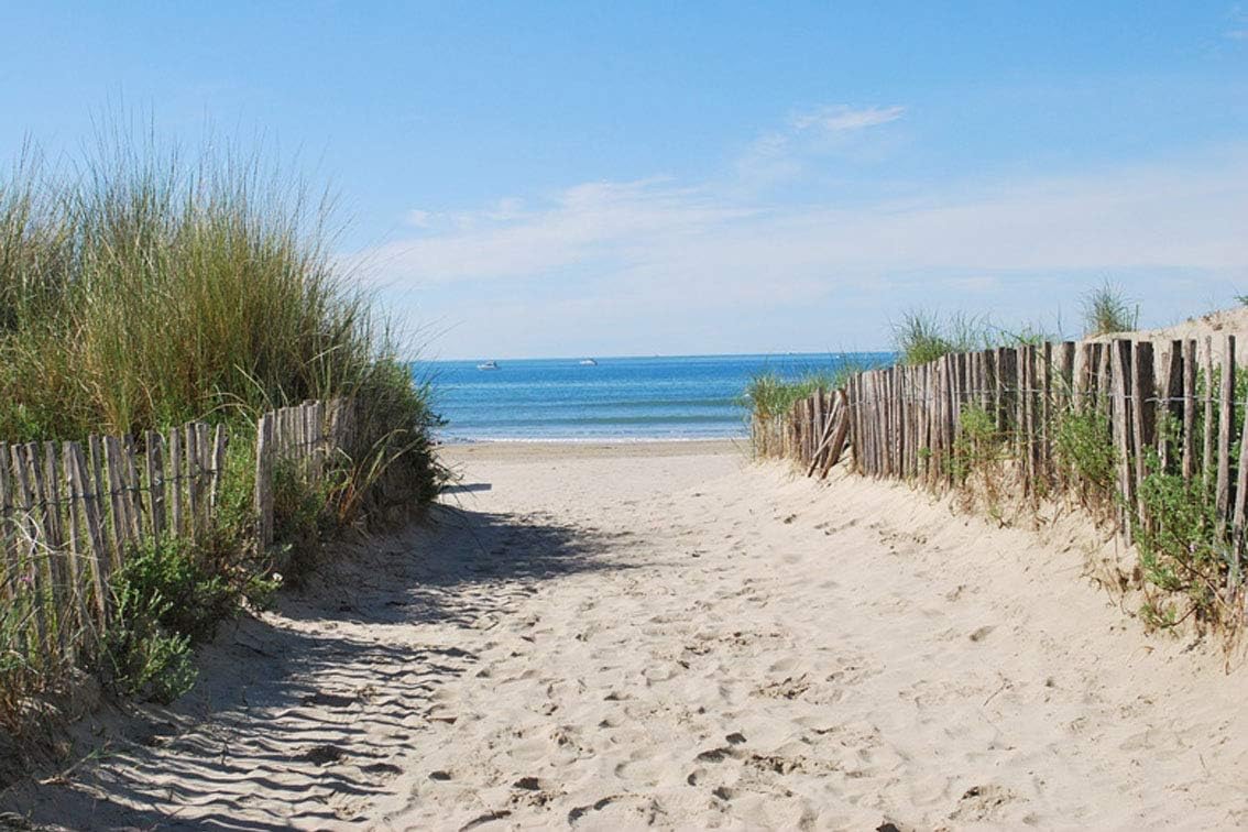 ING Wall Art Print on Canvas(32x21 inches)- Beach Beach Path Sea Montpellier Carnon