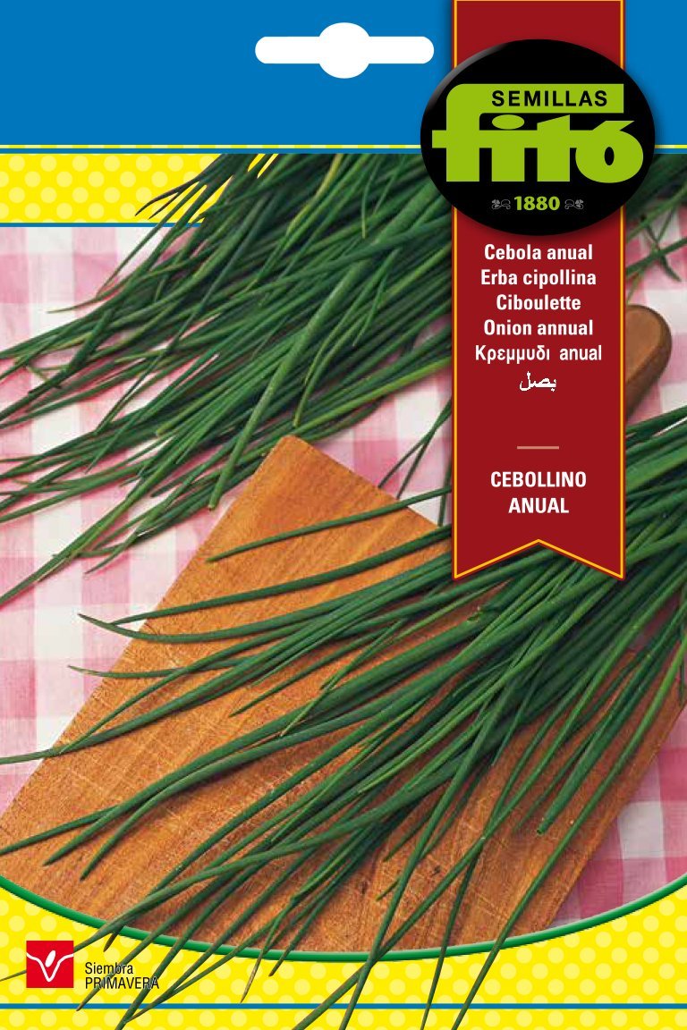 Semillas Fitó 3084 - Cebollino Anual: Amazon.es: Jardín