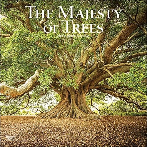 The Majesty Of Trees 2022 12 X 12 Inch Monthly Square Wall Calendar, Nature Forests: Browntrout Publishers Inc., Browntrout Publishers Editing Team, Browntrout Publishers Design Team, Browntrout Publishers Design Team: 0097815449216: Amazon ...
