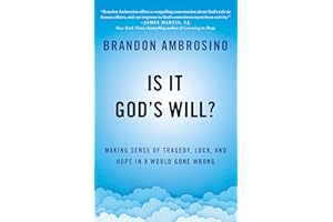Is It God's Will?: Making Sense of Tragedy, Luck, and Hope in a World Gone Wrong
