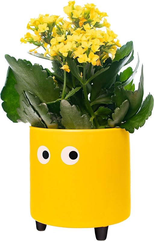 - Macetero Original con diseño de Ojos. Decorativo Interior. Macetero con Patas para Cactus. Maceta de cerámica Amarillo para Flores y suculentas. 13 x 12,5 cm.