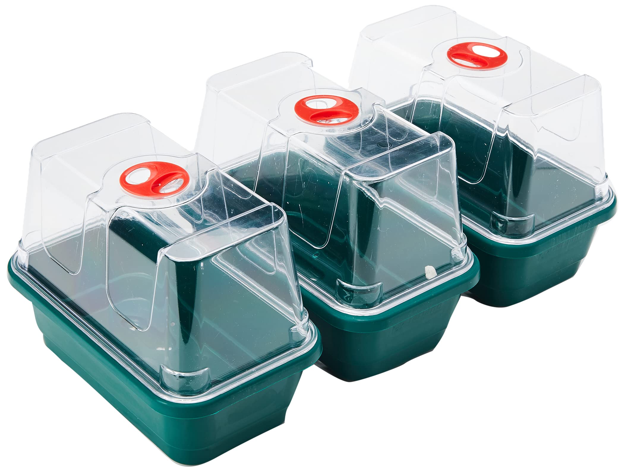 Garland GAL18MP3 3 x Mini High-Dome Propagators, Green, 13x17x13 cm