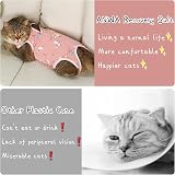 ANWA 2 Pack Cat Recovery Suit Breathable After Surgery Female Kitten Recovery view 7