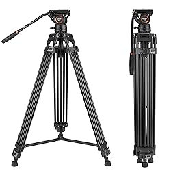 Cayer BF30L Video Tripod with Fluid Head, 73" Heavy