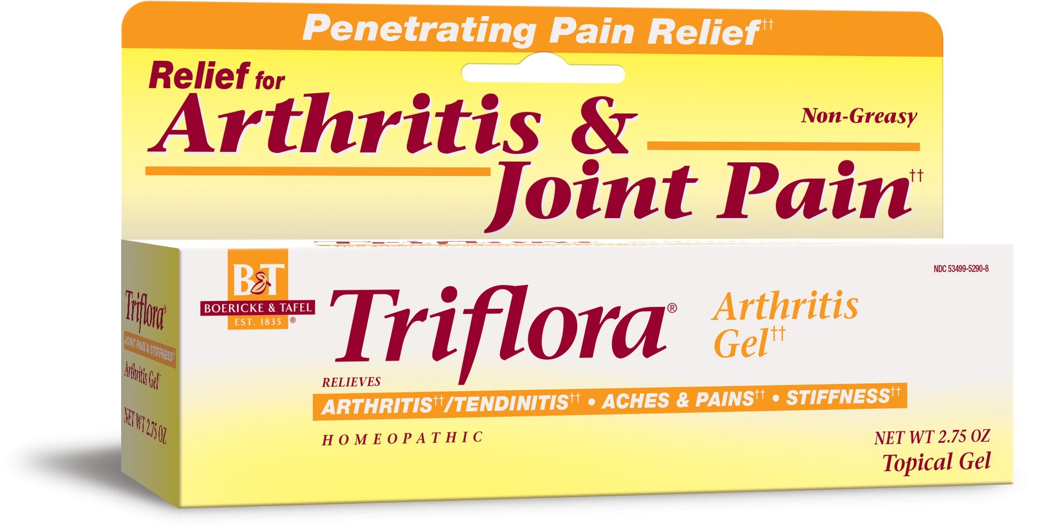 Mua Boericke and Tafel Triflora Arthritis Topical Gel, Relief for Arthritis, Tendinitis, Joint