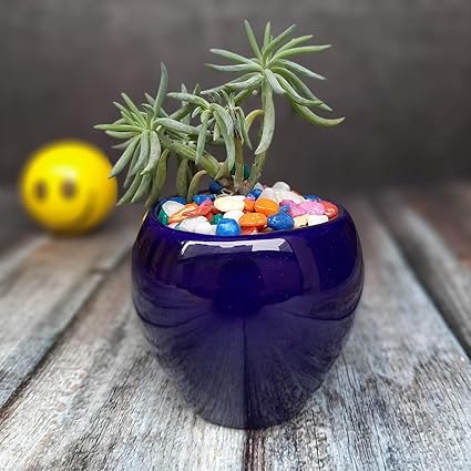 SAJAO Apple Ceramic Pot for Indoor Plants (Blue, Small in Size)