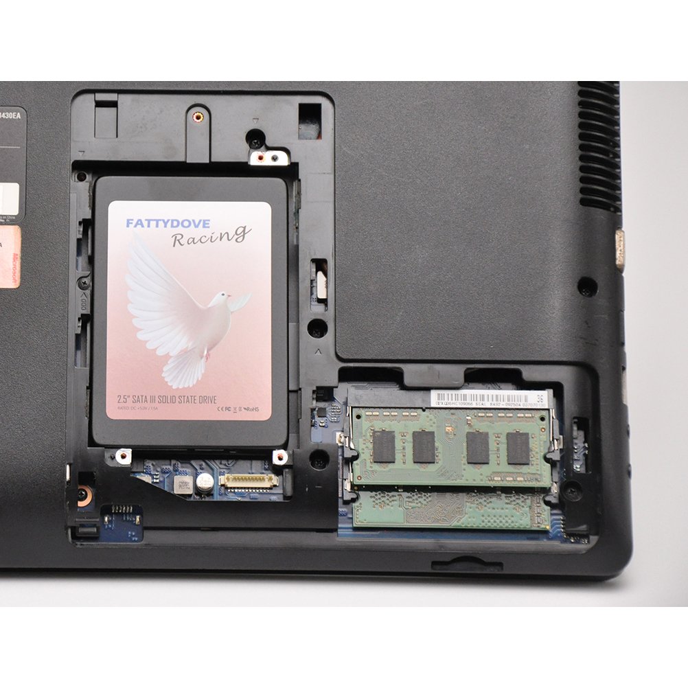 FATTYDOVE 2.5 inch SSD 240GB Fast Speed 2.5 SSD Internal