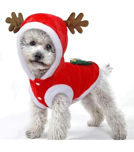 white christmas dresses Santa Claus Riding Christmas Dog Costume – Paw Roll main image 1