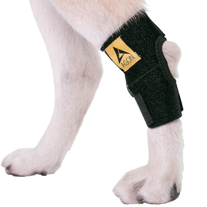 Best Dog Knee Brace for Torn ACL Reviews & Buying Guide iHomePet
