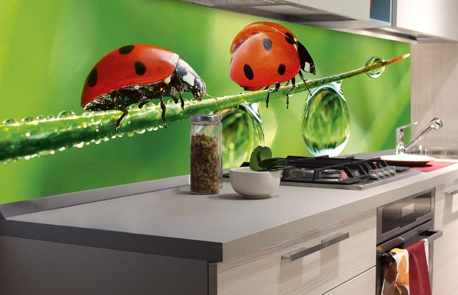 DIMEX LINE Peel and Stick Kitchen Backsplash Sticker Ladybug, Grün, 180 x 60 cm