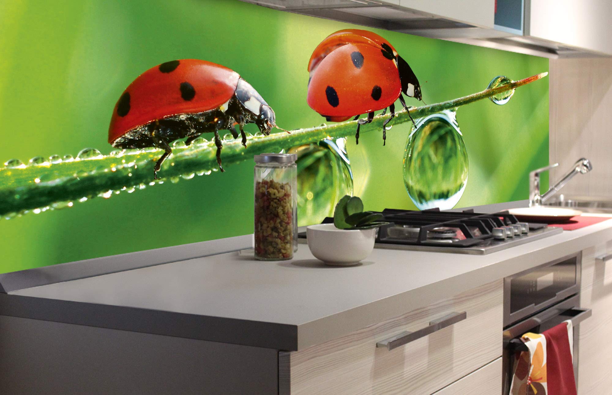 DIMEX LINE Peel and Stick Kitchen Backsplash Sticker Ladybug | Waterproof Decorative Wall Foil for Kitchen | Made in EU - 180.01 × 60.00 cm