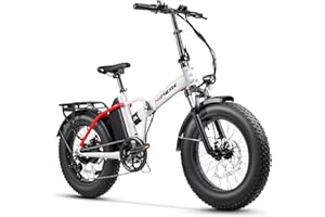 Hipeak Elias Ebike Folding Electric Bike for Adults|Powerful 750W Motor|Speeds Up to 25MPH|Large 48V 15Ah Removable Battery 20"x4.0"Fat Tire Bicycle with Front Dual Suspension UL 2849 Certified
