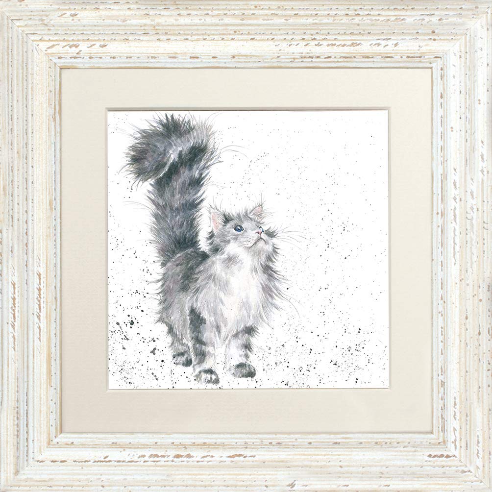 Wrendale Designs "lady of the House" Cat Framed Picture in Various Frame Colours (Distressed White)