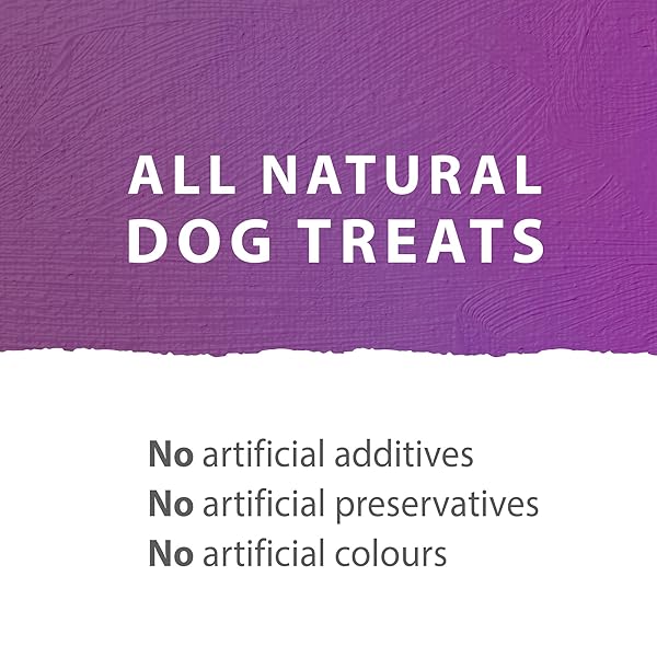 CALEDON FARMS PORK TENDERSTICK DOG TREATS, NO ADDITIVES, PRESERVATIVES FREE, 3.88 OUNCES (PACK OF 4)