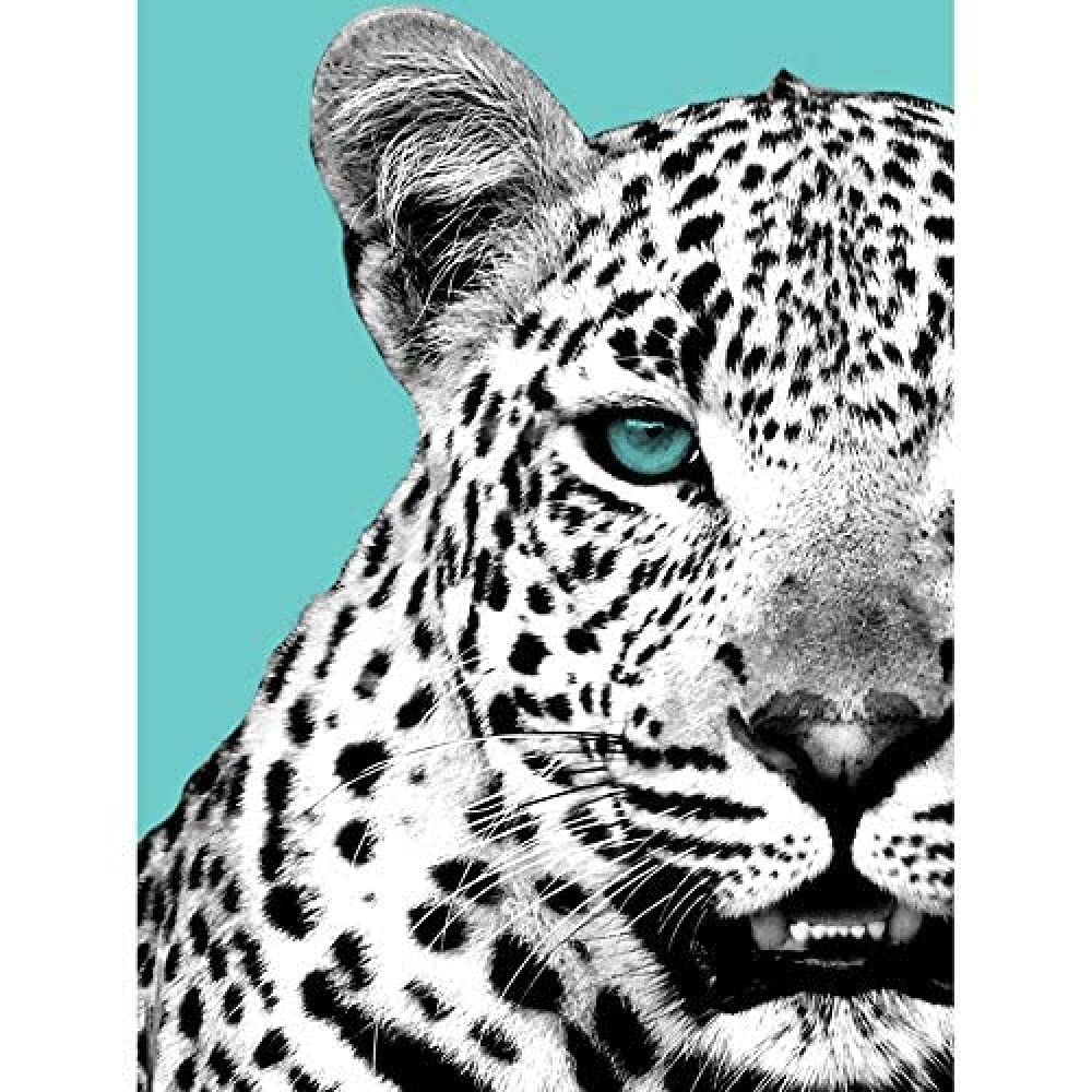 Wee Blue Coo Close up Beasties Leopard Art Print Canvas Premium Wall Decor Poster
