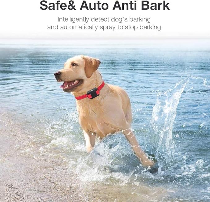 spray dog with water to stop barking