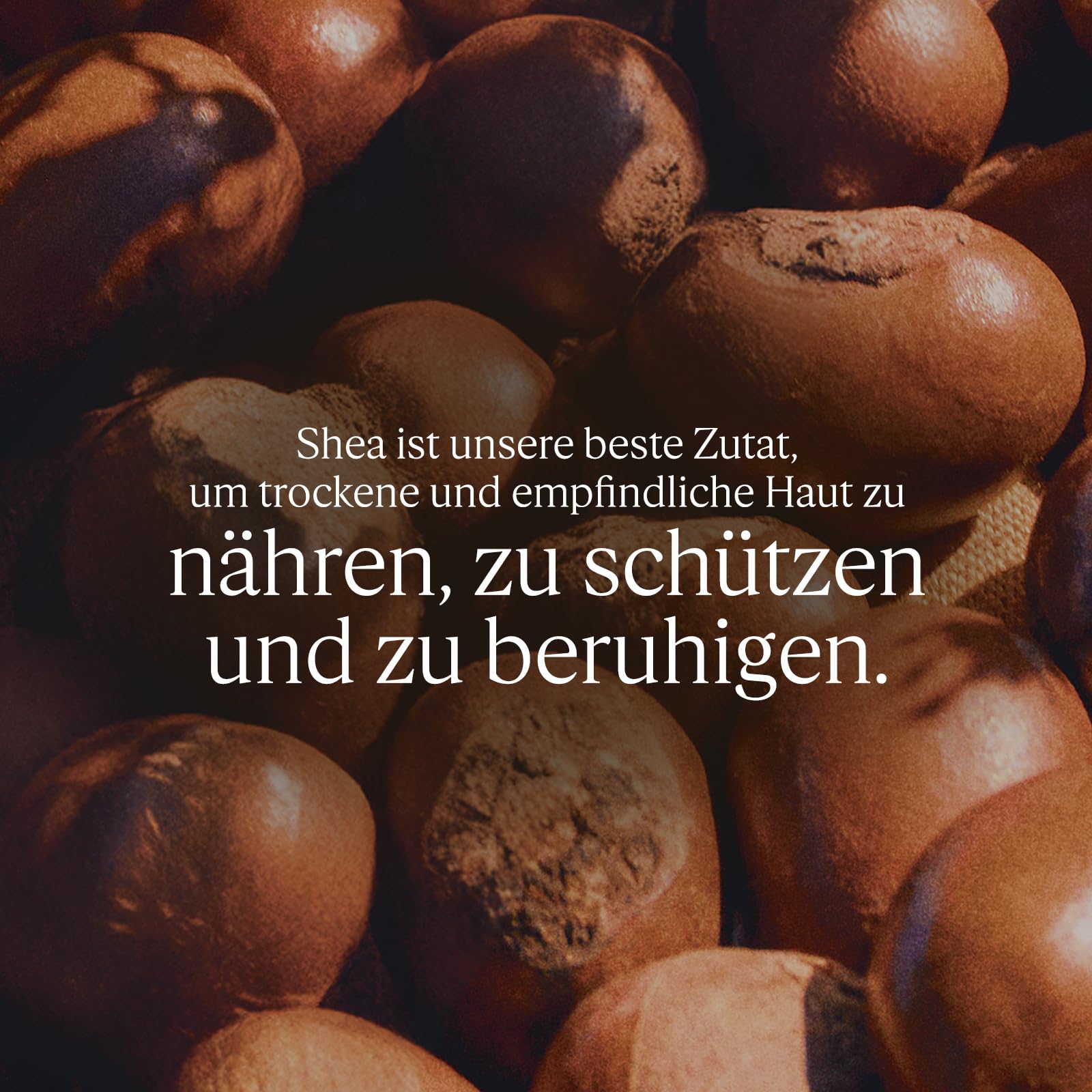 L'OCCITANE 15% Shea Butter Body Rich Lotion, Moisturizes, Nourishes & Soothes Dry Skin, Anti-Aging, Lightweight, Non-Greasy, Hydrating Skincare, Vegan