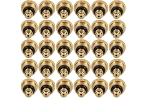 LOOYUAN Brass Misting Nozzles 0.016" Orifice (0.4mm) 10/24 UNC, Water Mister Parts Fog Nozzles for Patio Misting System Outdoor Cooling System (30)