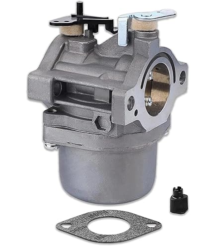 Amazon.com : Carburetor For B & S 217972 217977 219802 219806